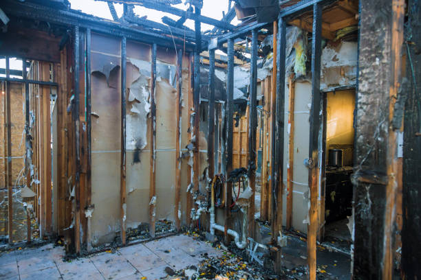 Professional Fire Damage Cleanup technician working in Glenn Dale, MD