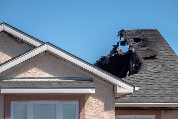 Top rated local Fire Damage Cleanup specialists in Glenn Dale, MD